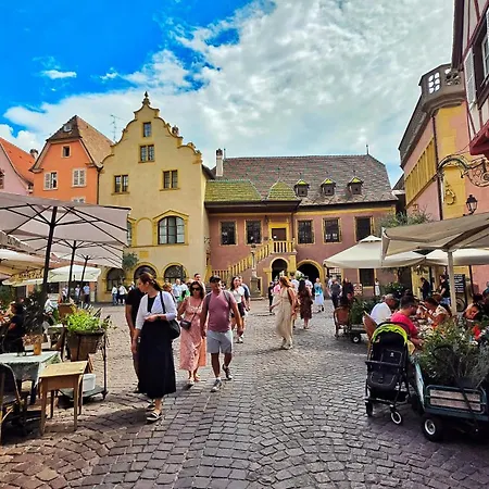 Appartement Au Coeur Du Vieux Colmar