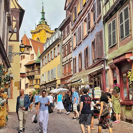 Au Coeur Du Vieux Appartement Colmar